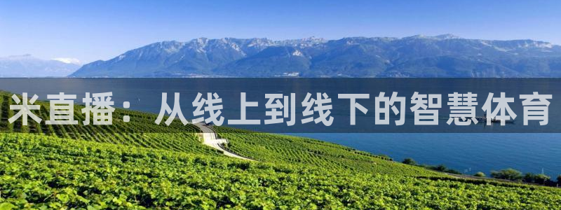 绿茵直播体育在线观看：米直播：从线上到线下的智慧体育