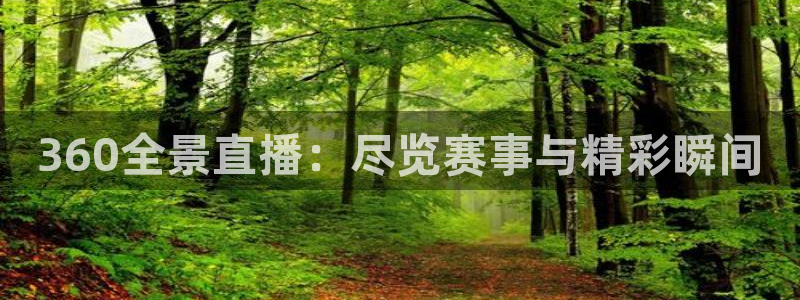 绿茵体育足球免费直播：360全景直播：尽览赛事与精彩瞬间