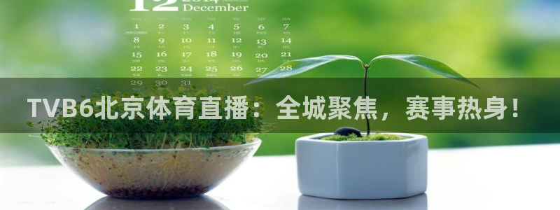 绿茵直播：TVB6北京体育直播：全城聚焦，赛事热身！